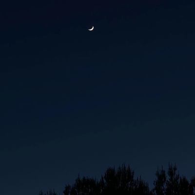 Click to view full size image
==============
1098.jpg 1098.jpg
