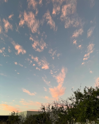 Click to view full size image
==============
2022.jpg 2022.jpg