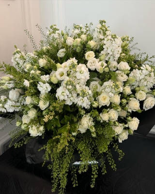 Click to view full size image
==============
2154.jpg 2154.jpg