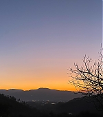 1083.jpg