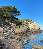 1165.jpg