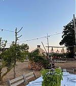 1263.jpg