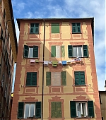 1784.jpg