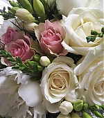 195.jpg