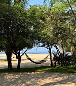 2145.jpg