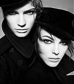 379.jpg