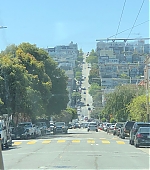 550.jpg